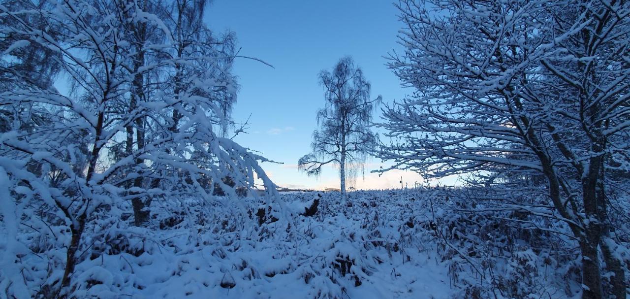 Torcroft Lodges Drumnadrochit Dış mekan fotoğraf