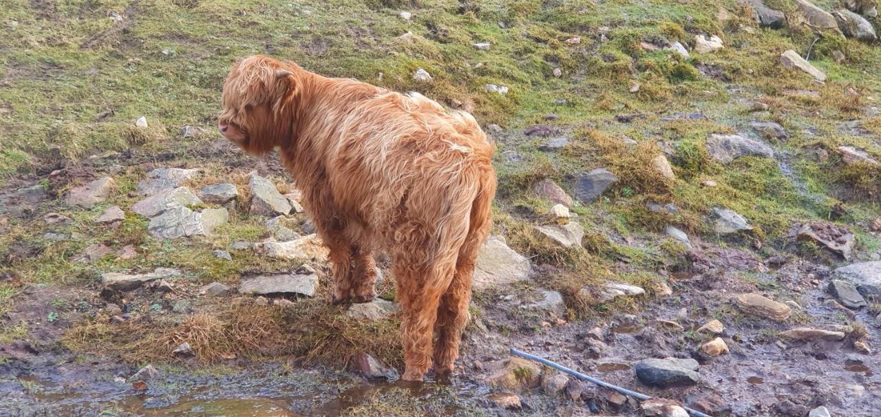 Torcroft Lodges Drumnadrochit Dış mekan fotoğraf