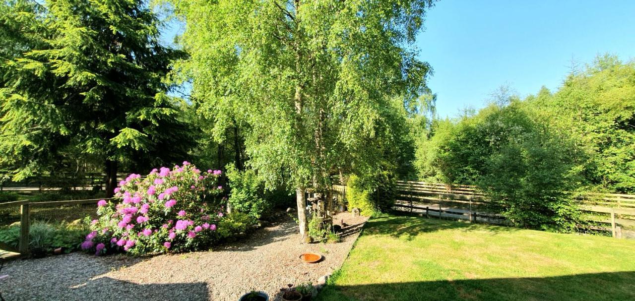 Torcroft Lodges Drumnadrochit Dış mekan fotoğraf