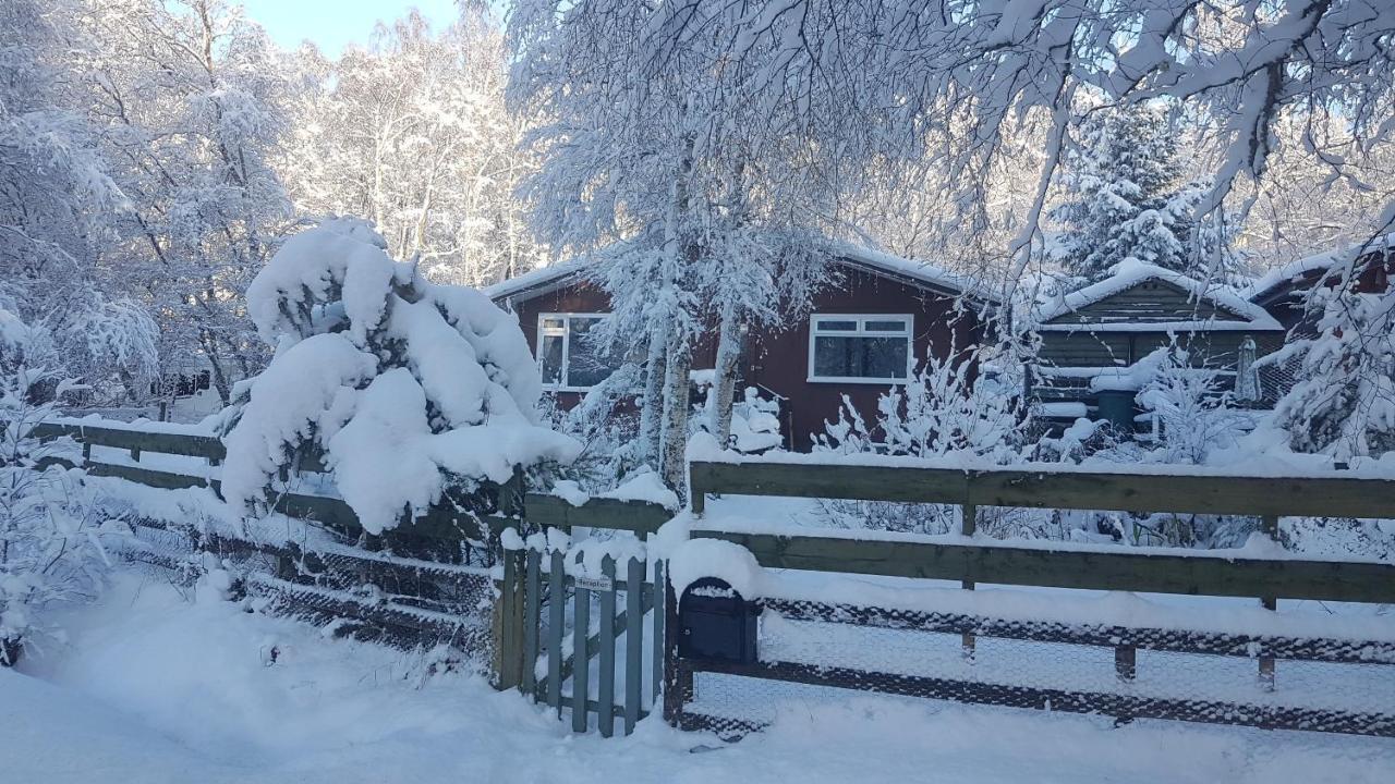 Torcroft Lodges Drumnadrochit Dış mekan fotoğraf
