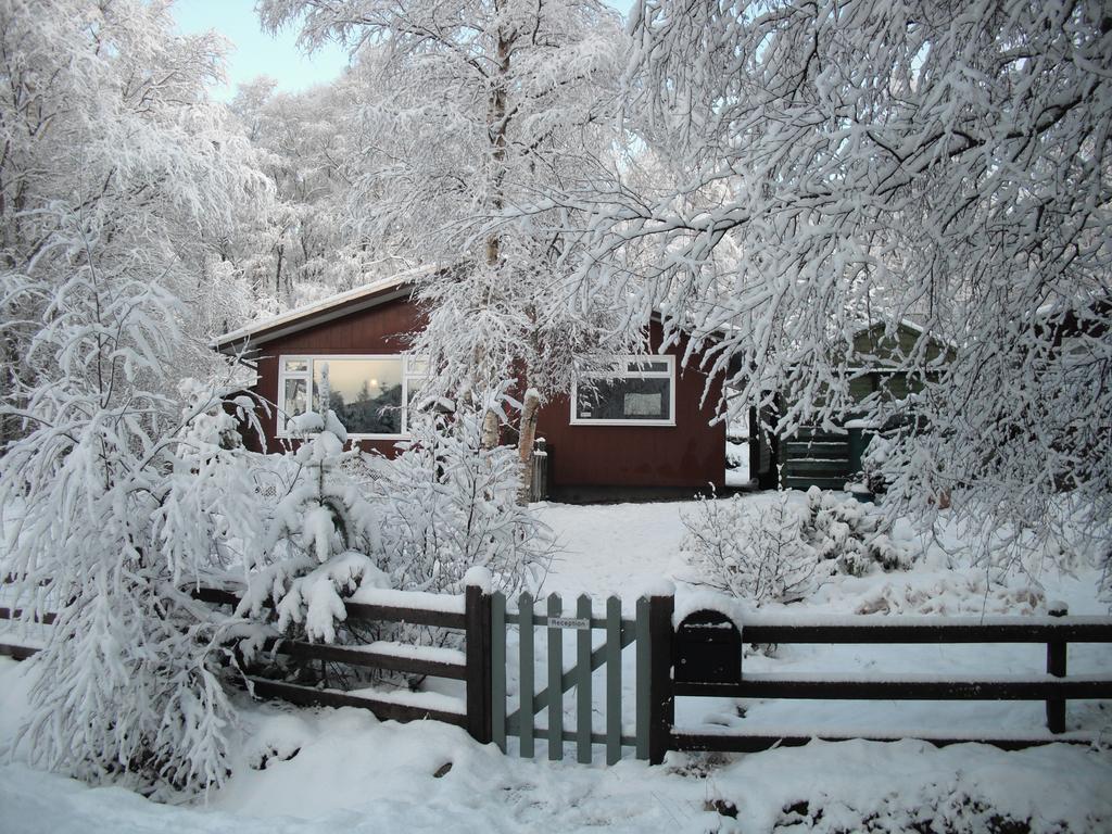 Torcroft Lodges Drumnadrochit Oda fotoğraf